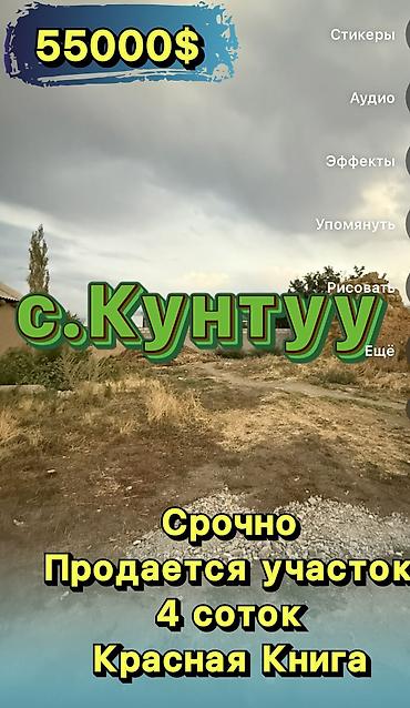 участок в кунтуу: 4 соток, Красная книга — 4
