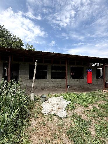 Продажа коттеджей и домов: 🏡 Продаётся уютный дом в селе Сокулук! 📍 Участок — 15 соток 📐 Площадь at lalafo.kg — 5 Продажа коттеджей и домов: 🏡 Продаётся уютный дом в селе Сокулук! 📍 Участок — 15 соток 📐 Площадь — 5