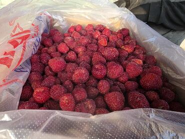 Клубника: Клубника — 7