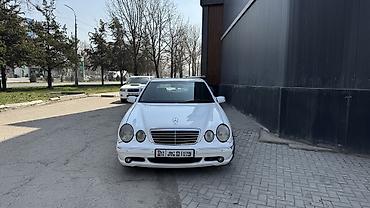 mersedes e class: Mercedes-Benz E-Class: 2000 г., 5.5 л, Автомат, Бензин, Седан — 3