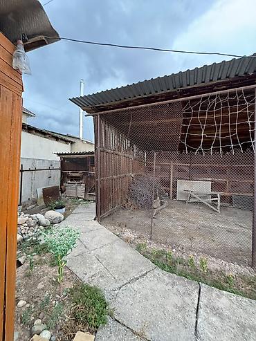 участок долинка: Продается пол дома с большим участком по первой линии в с.Заречное ( — 7