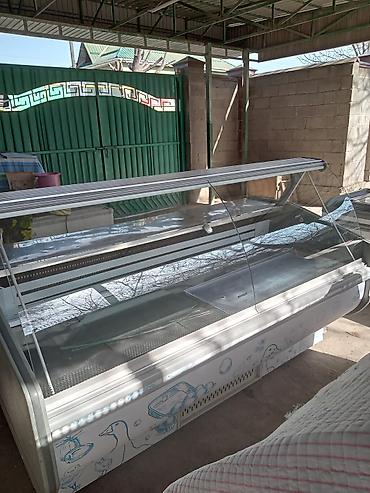 Холодильные витрины: Для мяса, мясных изделий — 1