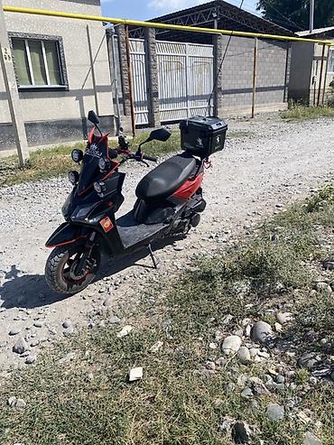 линза фары: Скутер/мопед 50–150 cc (визуально серия спорт) в черно‑красной — 1