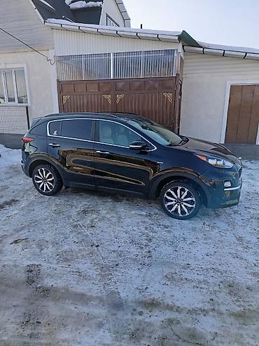 Kia: Kia Sportage: 2018 г., 2.4 л, Автомат, Бензин, Кроссовер — 12