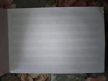 veliki stitch: Notna sveska i Skicen blok. 1.Notna sveska 24x16 cm. 21 str.,ocuvana — 2