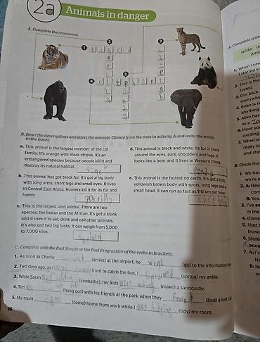 matematika: Get to the top 4 udzbenik i radna sveska, cetvrta godina učenja. Data — 4