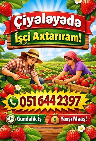 ingilis dili muellimi axtariram: Whatsapp akdivdir elaqe saxlaya bilersiz — 1