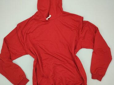 Hoodie: Women`s hoodie, 3XL (EU 46)