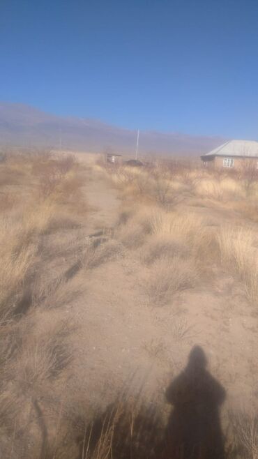 Сейф-книги: Сейф-книга — 7