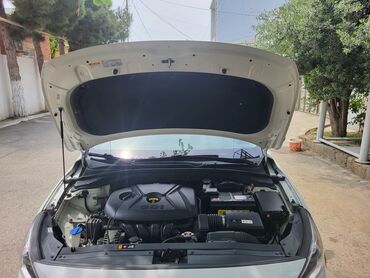 Hyundai: Hyundai Elantra: 2 l | 2020 il Hetçbek — 10