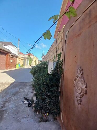 Həyət evləri və villaların satışı: Biləcəri 6 otaqlı, 180 kv. m, Kredit var, Yeni təmirli — 3
