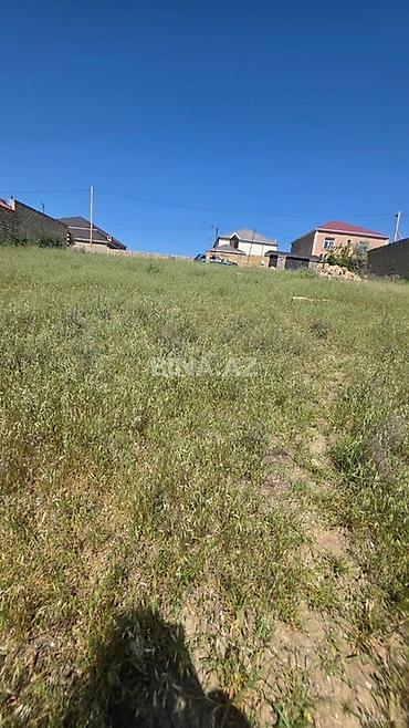qubada satilan torpaq: 5 sot, Kupça (Çıxarış) — 1