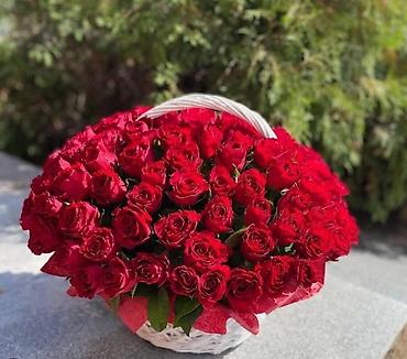 101 gul: 101 Roza🌹120₼ 60 sant - Qırmızı qızılgül buketi: sıx və həcimli — 8