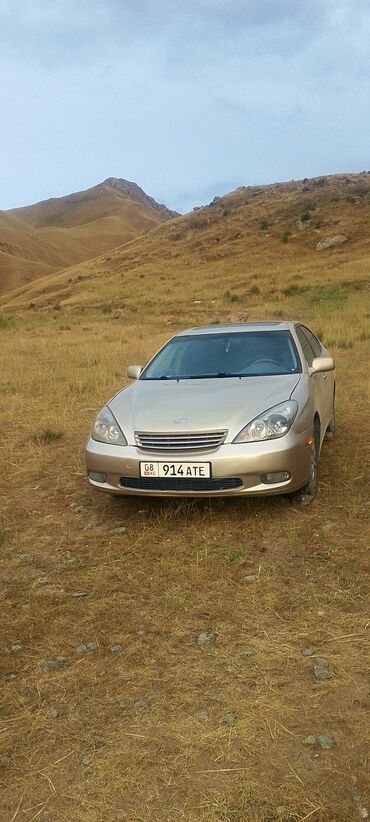 деу легенза: Lexus ES: 2002 г., 3 л, Автомат, Бензин, Седан