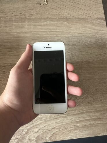 IPhone 5, 16 ГБ, Белый
