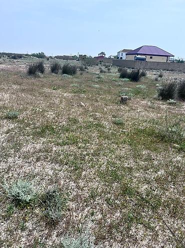tecili satilan ucuz evler 2025: 4 sot, Kənd təsərrüfatı, Barter mümkündür, Kupça (Çıxarış) — 10