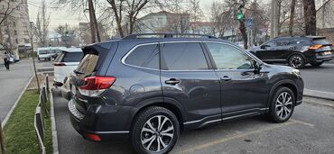Subaru: Subaru Forester: 2019 г., 2.5 л, Вариатор, Бензин, Кроссовер — 4