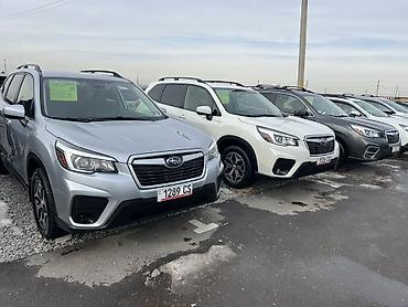Subaru: Subaru Forester: 2019 г., 2.5 л, Вариатор, Бензин, Кроссовер — 6