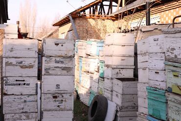 Товары и оборудование для с/х животных: Ульи около 45 комплектов. Рутовская система, корпусные, пригодны для — 28