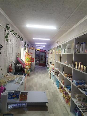 Торговля: Магазин «Акчолпон» Формат: продуктовый магазин у дома. Ассортимент — 2