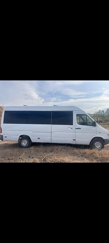 Mercedes-Benz Спринтер: 1998 г., Бус