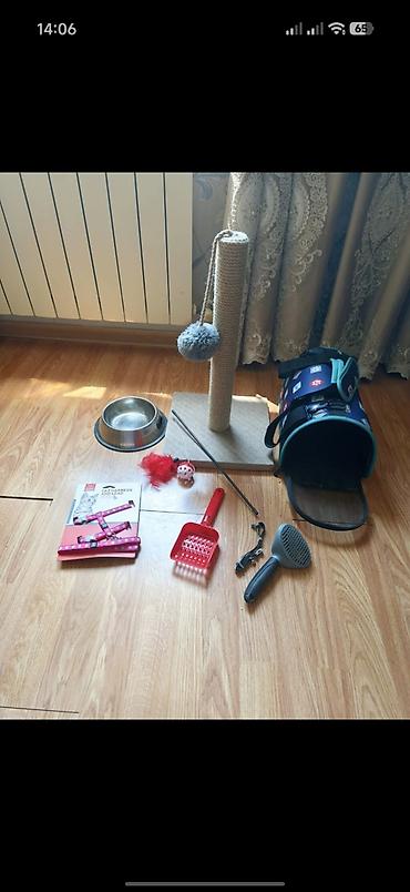 husky sekilleri: Pişik üçün tam aksesuar dəsti Dəst daxilində: - Qapalı pişik tualeti — 4