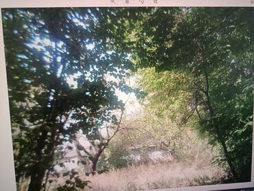 Torpaq sahələrinin satışı: 21 sot, Tikinti, Mülkiyyətçi, Kupça (Çıxarış) — 11