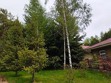 отель бишкек: Коттедж, Радуга, Сары-Ой, 6 мест — 6