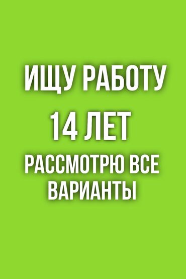 работа оператором вебкам бишкек: Есть опыт в дизайне, а так же фрилансе (есть свой интренет магазин) 14