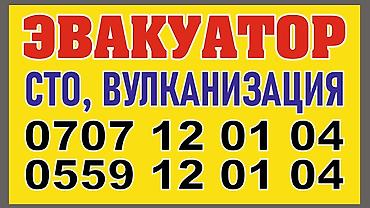 помощь животным: Услуги Эвакуатор Тоо Ашуу, туннель,ала бел,чычкан,Сосновка — 3