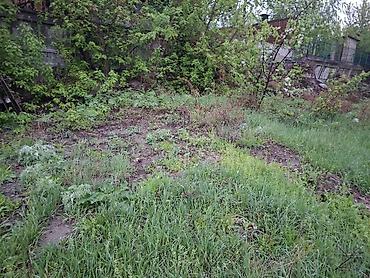 green hill: 4 соток, Для строительства, Красная книга — 2