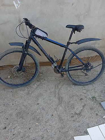 qalın teker velosiped: Şəhər və yüngül off-road üçün dağ velosipedi - Çərçivə — 2