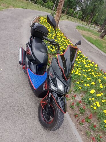 купить трехколесный мотороллер: Скутер Honda, 150 куб. см, Бензин, Колдонулган