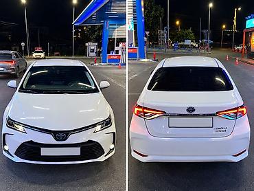 leopard 3: Toyota Corolla: 2019 г., Гибрид, Седан — 1