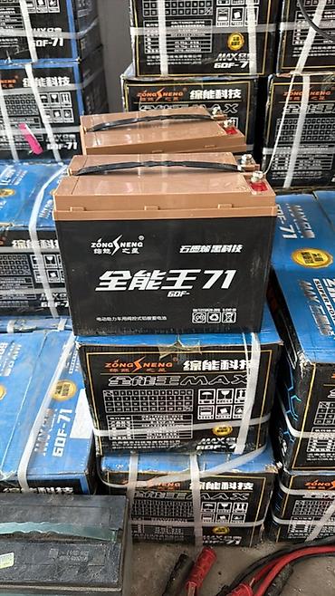 Электр транспорту: На электрический Муравей Аккумуляторы ZongNeng Super Power MAX+ (серии — 8