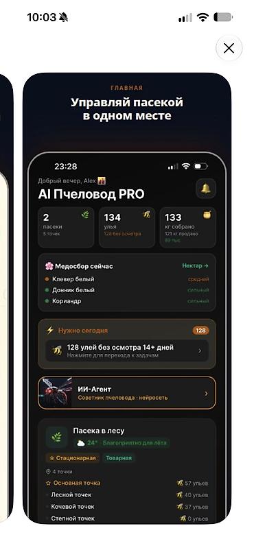 Разработка сайтов, приложений: Добрый день! предлагаем Разработкау мобильных приложений, просьба — 3