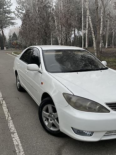 Toyota: Toyota Camry: 2004 г., 2.4 л, Автомат, Бензин, Седан — 7