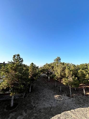 Torpaq sahələrinin satışı: 24 sot, Mülkiyyətçi, Kupça (Çıxarış) — 2