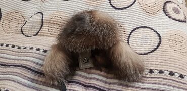 ушки кошечки: Цвет - Коричневый at lalafo.kg ушки кошечки: Цвет - Коричневый
