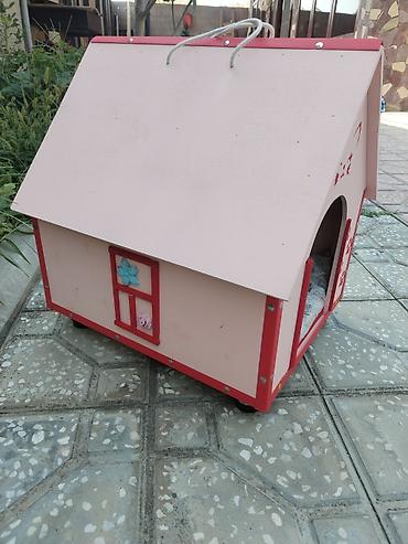 pişik yuvası: Taxtadan hazırlanmış, döşəkcəli pişik yuvası. Yuva suya davamlı boya — 3