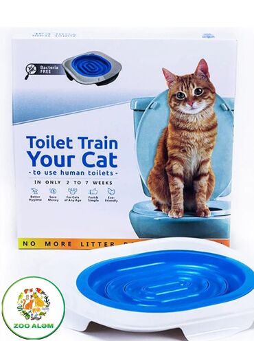 Bio-tualetlər və doldurucular: Pişiklər üçün tualet tərbiyəsi. Bu məhsulumuzla artıq sevimli — 9