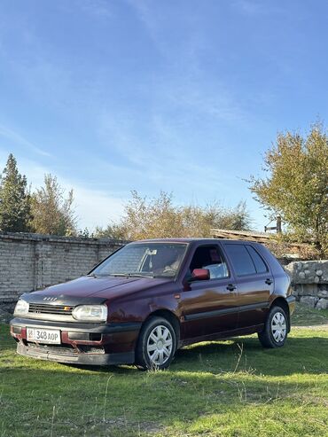 Volkswagen: Volkswagen Golf: 1993 г., 1.6 л, Механика, Бензин