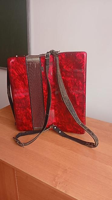 купить музыкальные инструменты бу: Клавишный аккордеон Royal Standard “Mari” - Корпус: перламутровый — 2