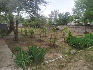 Продажа домов: Дом, 230 м², 4 комнаты, Собственник, ПСО (под самоотделку) — 5