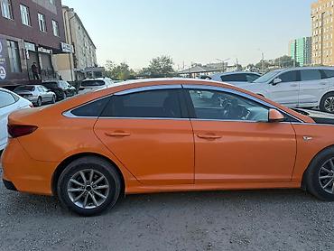 sonata orange: Hyundai Sonata: 2019 г., 2 л, Автомат, Газ, Седан — 1