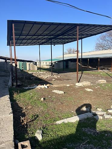 Продажа сельхоз предприятий: Сельскохозяйственные корпуса/сараи под фермерство Описание: - — 5