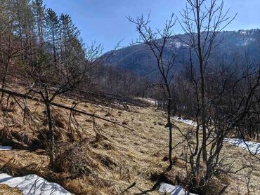 Prodaja zemljišta: 130 ares, Vlasnik — 5
