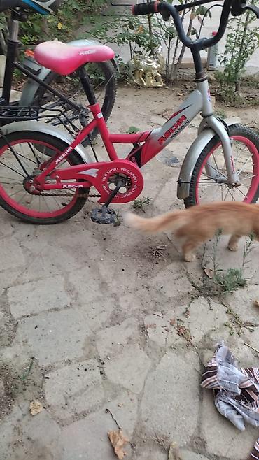 velo teker: Uşaq velosipedi – Aechi Velo Sport, 16" təkər ölçüsü - Rəng — 1