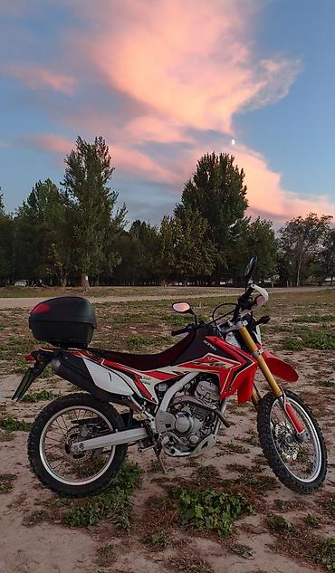 crf 300 rally: Эндуро Honda, 250 куб. см, Бензин, Взрослый, Б/у — 5