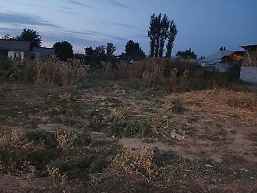 дома бишкек: 75 соток, Красная книга — 2